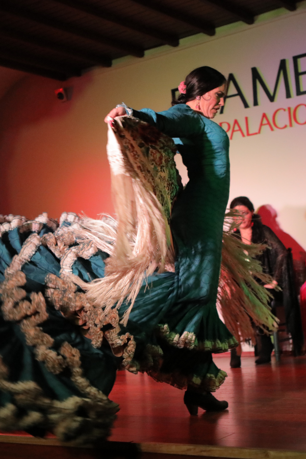 Palacio Flamenco Granada