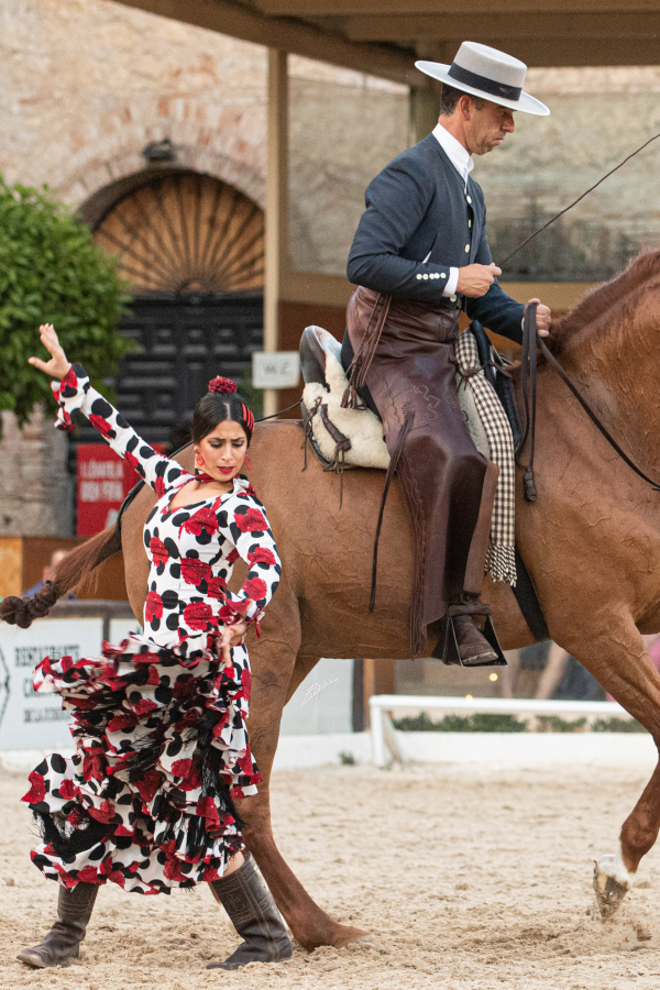 Pasión y Duende del Caballo Andaluz