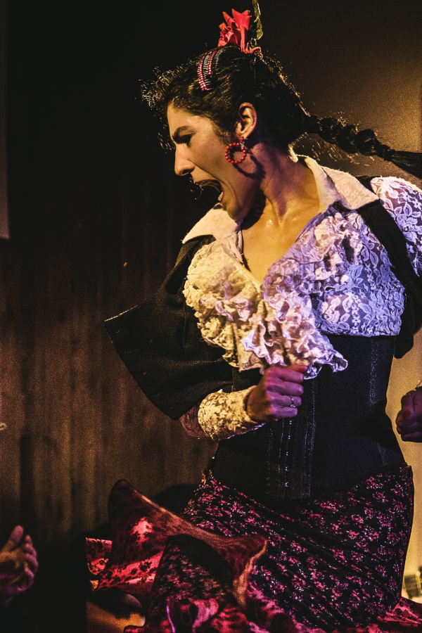 Taberna Flamenca El Cortijo