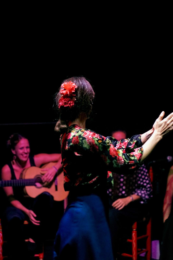 Flamenco en Somiart