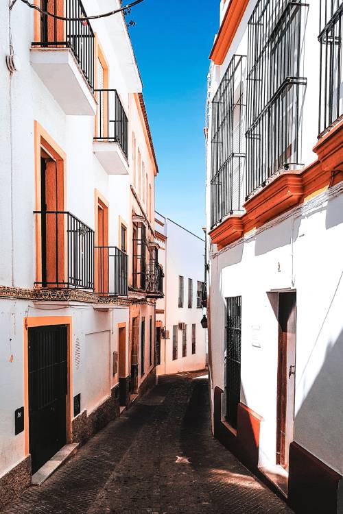 Espectáculos Flamencos Jerez