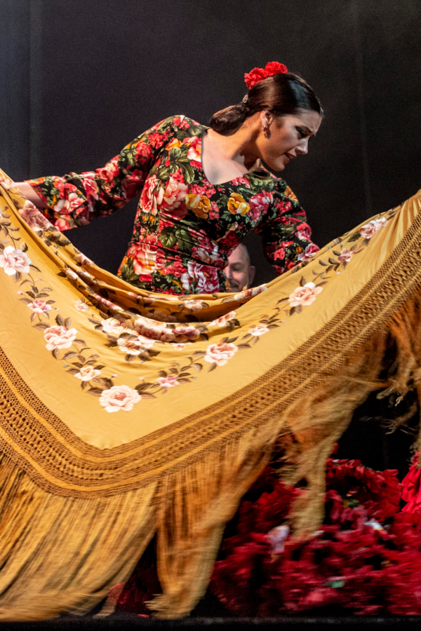 Nuevas noticias de FlamencoTickets