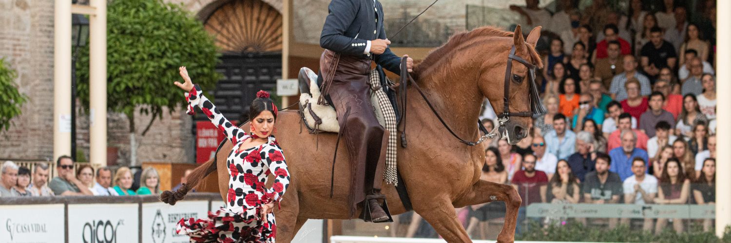 Flamenco y caballos