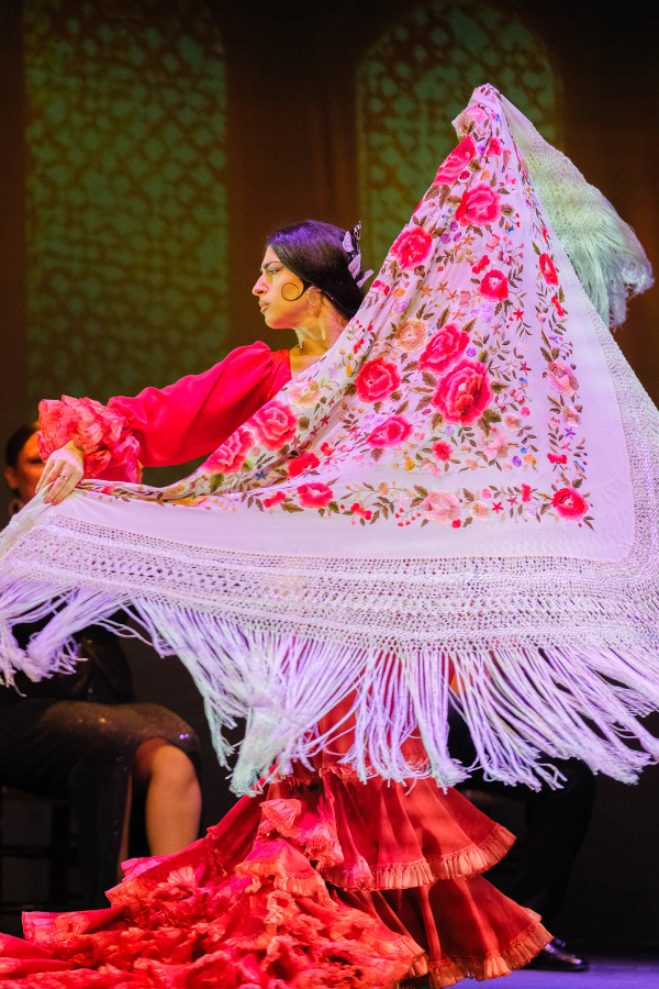 Flamenco con cena